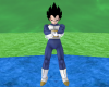 !A! Vegeta outfit