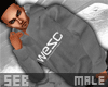 |S WESC Hoodie v1