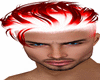 Tan Blood Fox