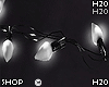 White String of Lights