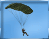 WR* Animated Parachute