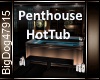 [BD]PenthouseHotTub