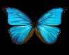 Blue Butterfly Cutout