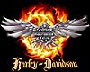 Harley-Davidson Nails