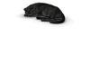 Sleeping Cat Display