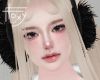 F-012026 MH