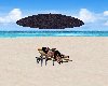 Animated Beach Lounger