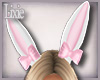 [L] Bunny Ears