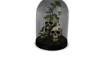 Skull Terrarium