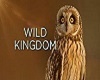 (DL) Wild Kingdom Pic