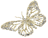M Diamond Butterfly R