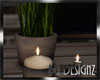 [BGD]Plant-Candle Decor