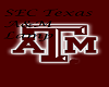 SEC Texas A&M Lamp