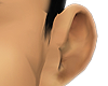 add-on high quality ears