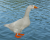 ~Plastic Goose~