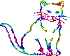 rainbow animated cat