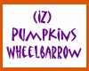 (IZ) Pumpkin Wheelbarrow