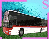 dubai bus stop