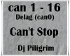 Can t Stop -Dj Piligrim