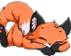 L Sleeping Red Fox