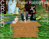 Easter Peter Rabbit Tub