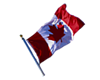 Canadian Flag Neck Tat