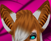 xCODx Deckie Ears V1