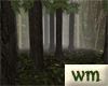 WM Elven Forest