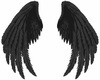 Wings Black Animation