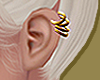 Gold Cartilage Hoops