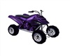 purple4 wheeler