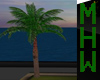 [MHW]PALM REAL DERIVABLE