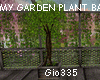 [G]MY GARDEN PLANT BAMBO