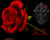 R.S Roses vase