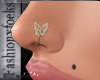 nosering butterfly