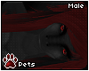 [Pets] Geno | hair v2