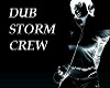 dub storm crew poster