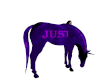jUST MARRIED HORSE PURP