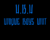 U.B.U| Unique Boys Unit
