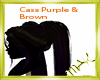 Cass Purple & Brown