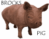 BROCKS PIG
