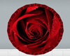 Lovely Red Rose Rug