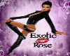Exotic Rose