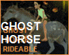 GHOST HORSE rideable