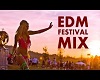 Edm Festival Mix part 2