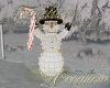 (T)Lighted Snowman0