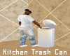 Kitchen Trash Can