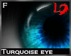 [LD]Turquoise Eye Female