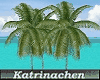Animated Palm 1