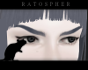Sourcils Grisette